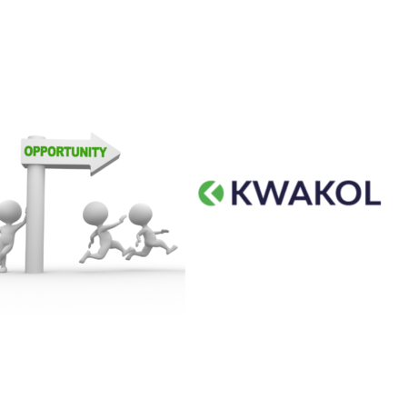 Kwakol Markets partnership programs: Growth opportunities