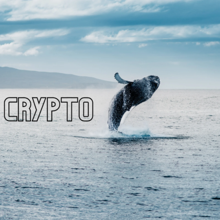 The significance of whales for decentralized crypto