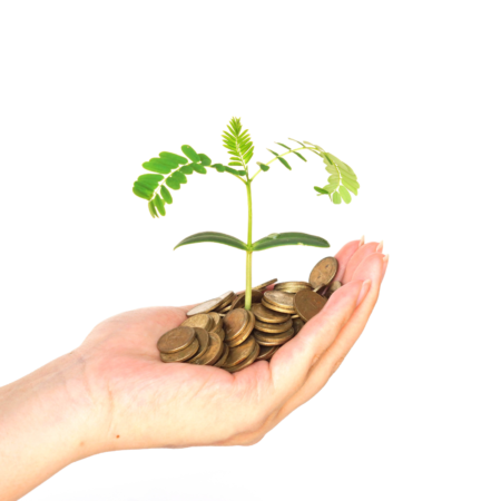 Promoting green finance accessibility for SMEs