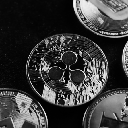 Ripple CEO challenges SEC’s use of XRP reports