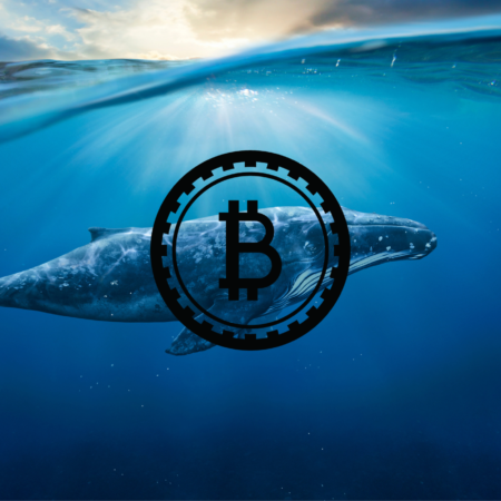 Bitcoin whale wallets awake